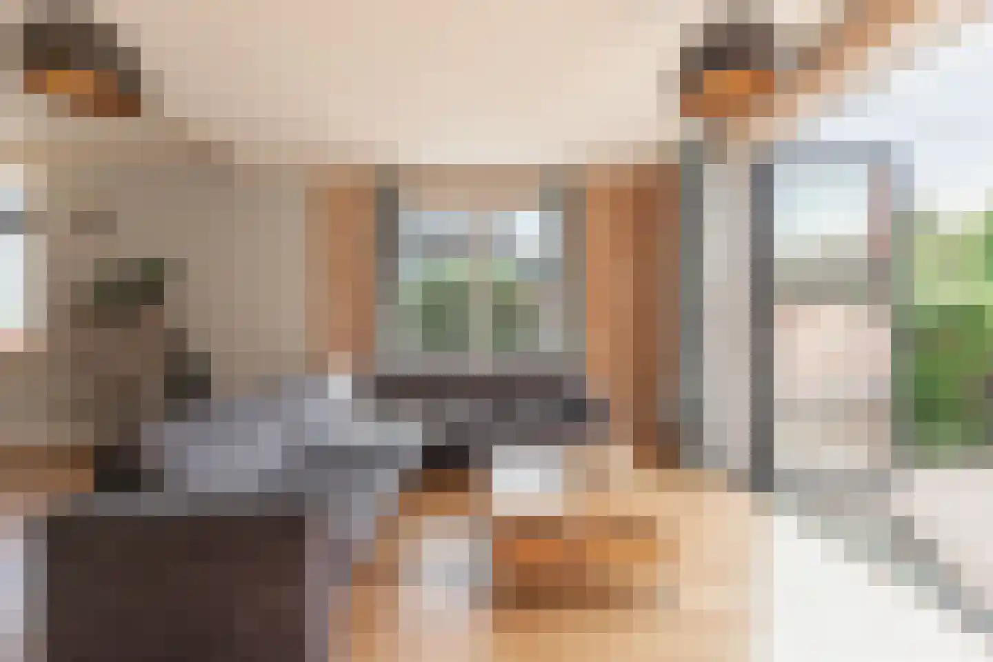 Hoofdstraat 244 Bovenkarspel thumbnail 13
