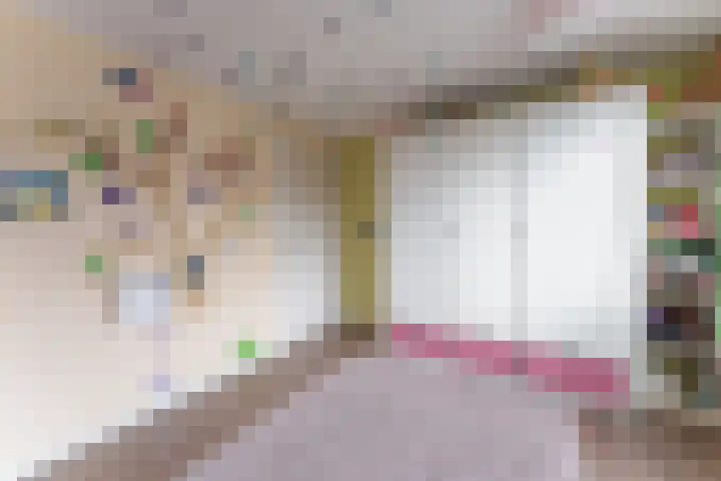 Hoofdstraat 244 Bovenkarspel thumbnail 30
