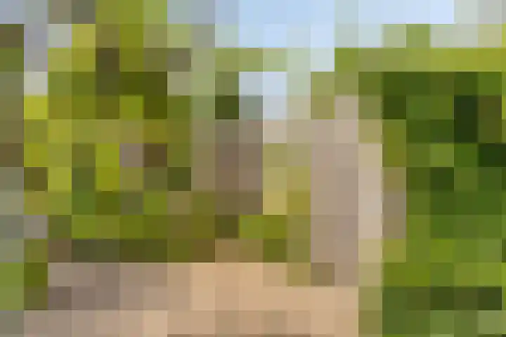 Hoofdstraat 25 Andelst thumbnail 38