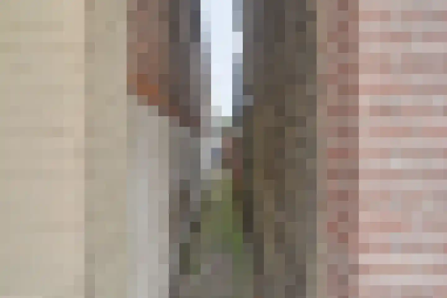 Hoofdstraat 25 De Lier thumbnail 9