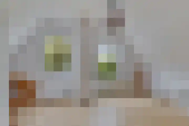 Hoofdstraat 25 Grolloo thumbnail 26