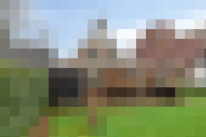 Hoofdstraat 25 Grolloo thumbnail 33