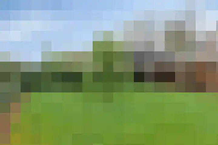 Hoofdstraat 25 Grolloo thumbnail 35