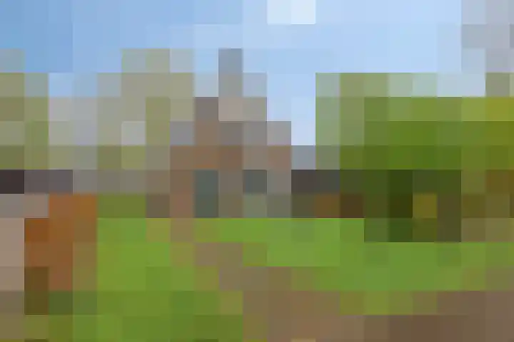 Hoofdstraat 25 Grolloo thumbnail 43