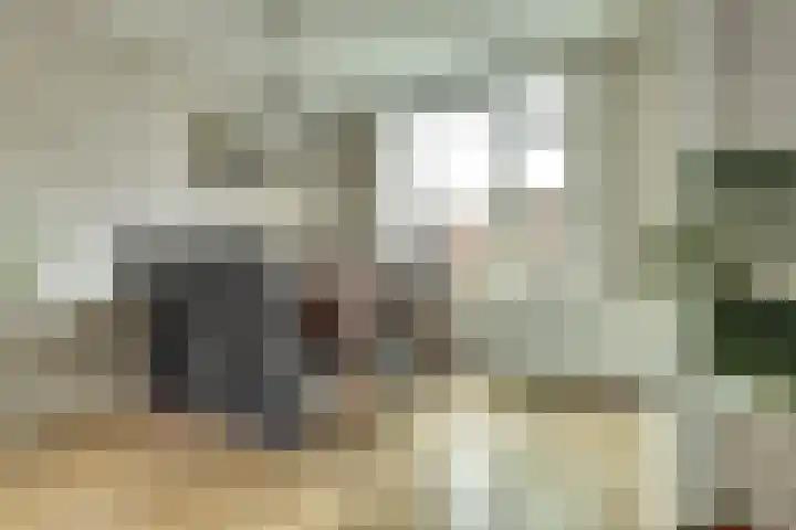 Hoofdstraat 25 Kruiningen thumbnail 12