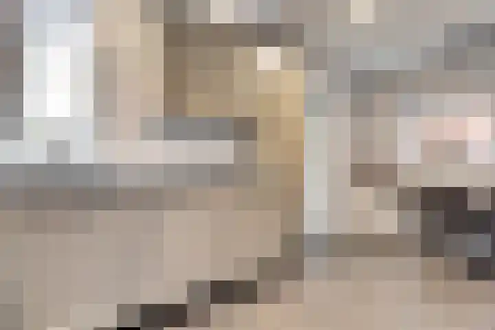 Hoofdstraat 25 Kruiningen thumbnail 13