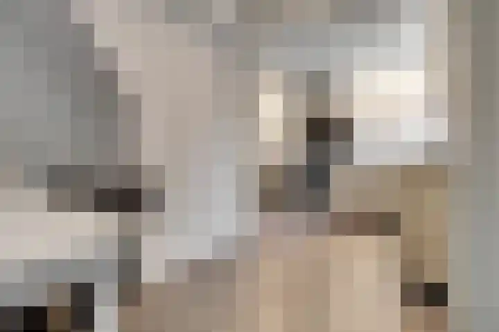 Hoofdstraat 25 Kruiningen thumbnail 15