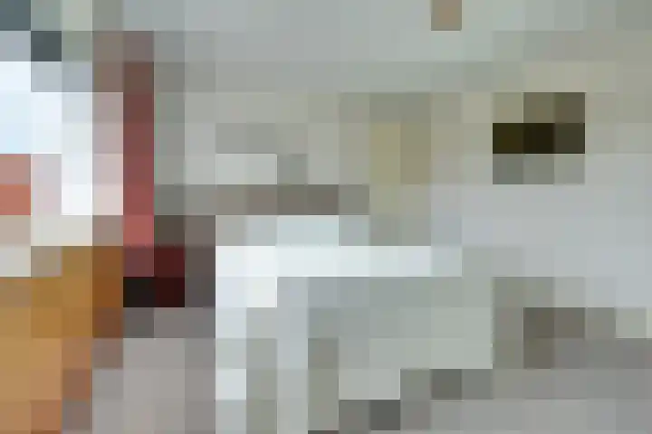 Hoofdstraat 25 Kruiningen thumbnail 23