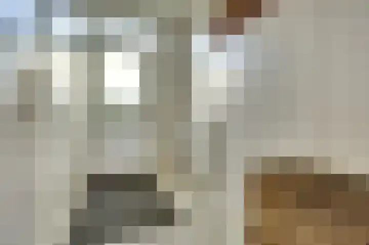 Hoofdstraat 25 Kruiningen thumbnail 5