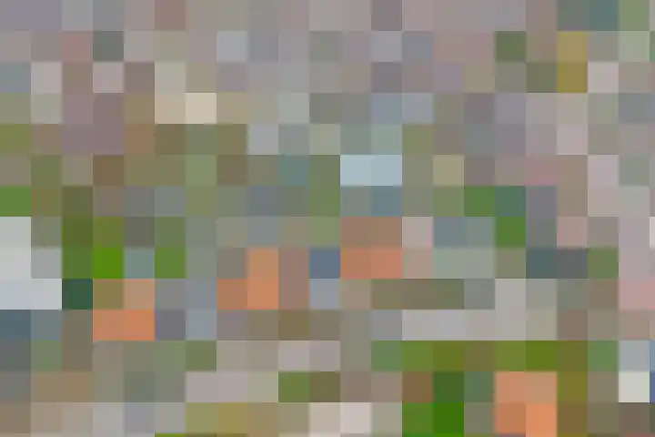 Hoofdstraat 25 Kruiningen thumbnail 52
