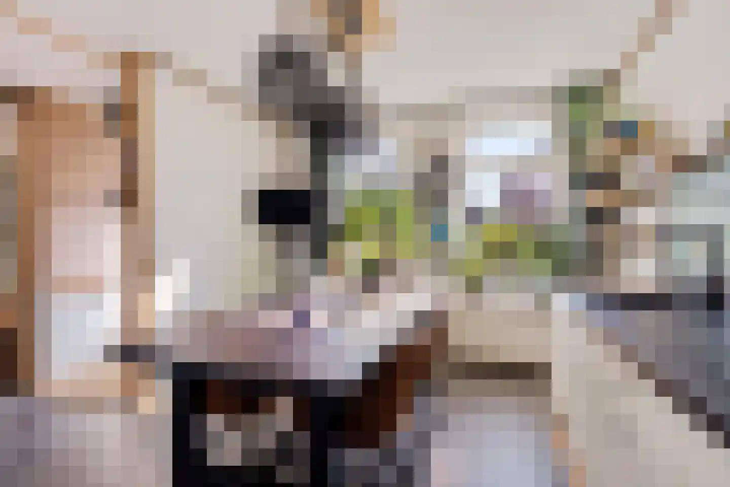 Hoofdstraat 25 Usquert thumbnail 10