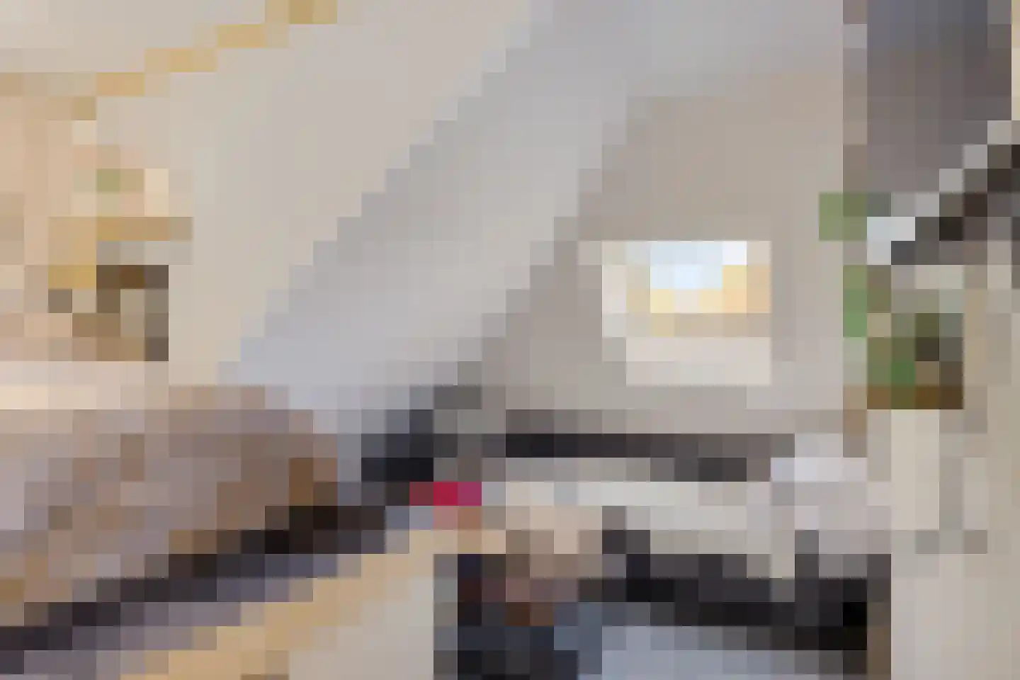 Hoofdstraat 25 Usquert thumbnail 23