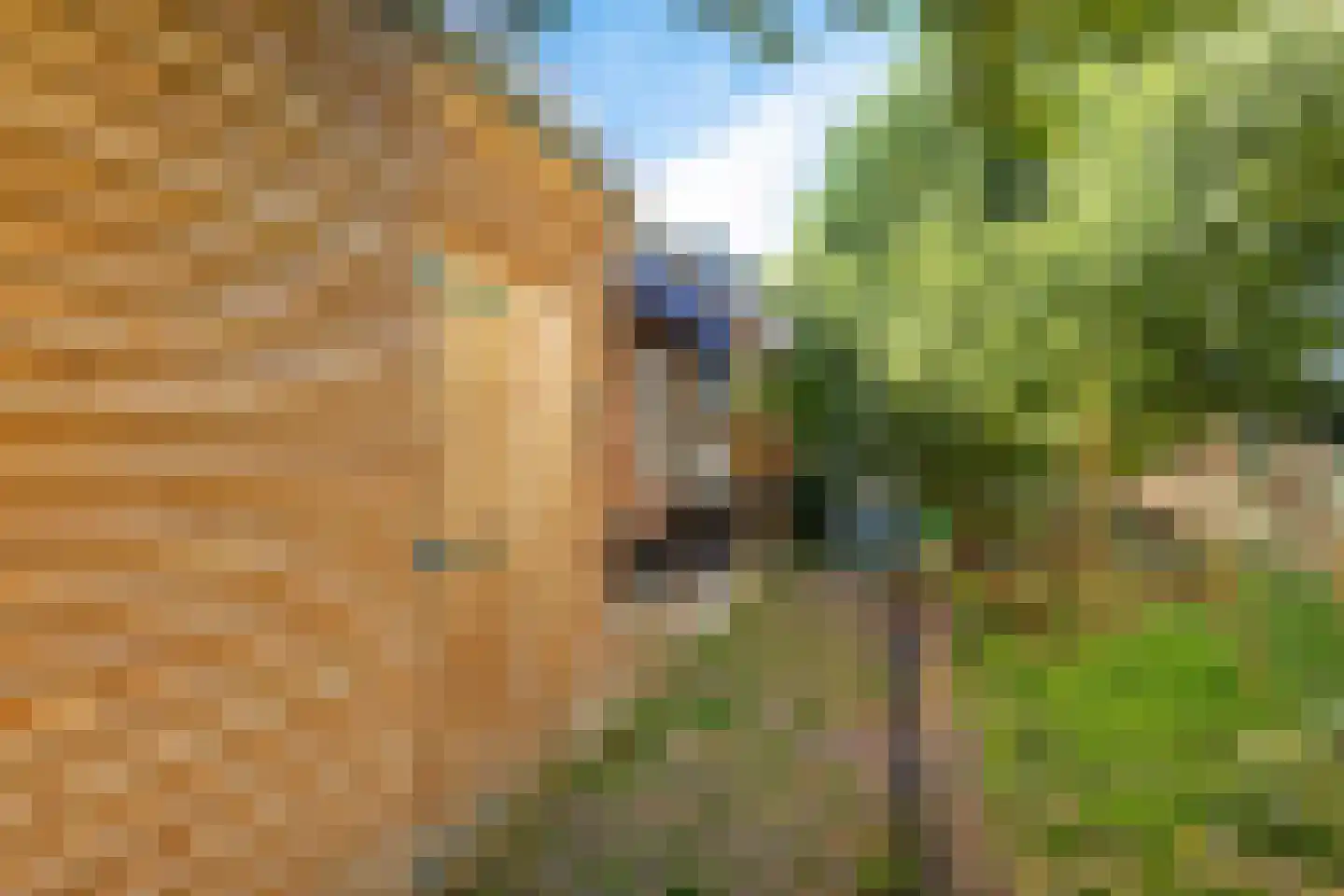Hoofdstraat 25 Usquert thumbnail 27