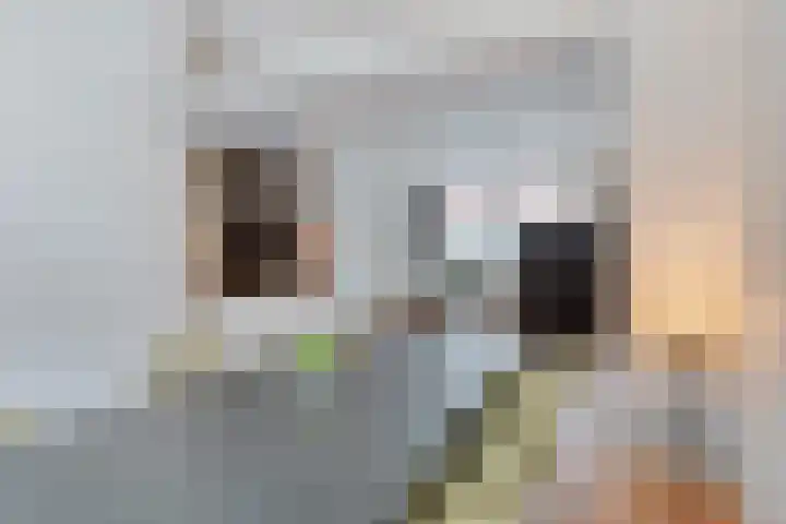 Hoofdstraat 25 Zevenbergschen Hoek thumbnail 12