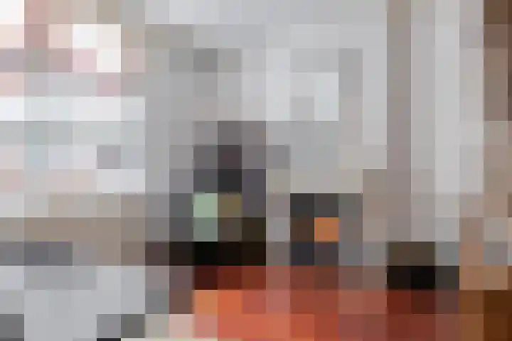 Hoofdstraat 25 Zevenbergschen Hoek thumbnail 24