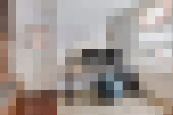 Hoofdstraat 25 Zevenbergschen Hoek thumbnail 25