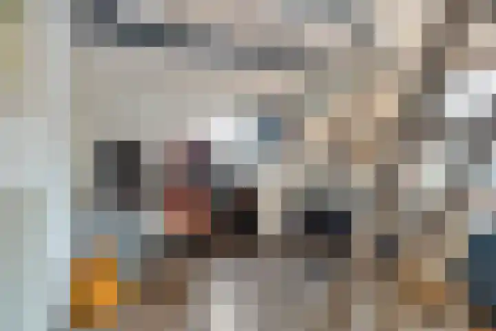 Hoofdstraat 25 Zevenbergschen Hoek thumbnail 26