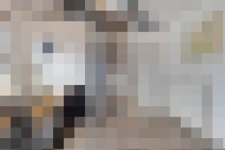 Hoofdstraat 25 Zevenbergschen Hoek thumbnail 27