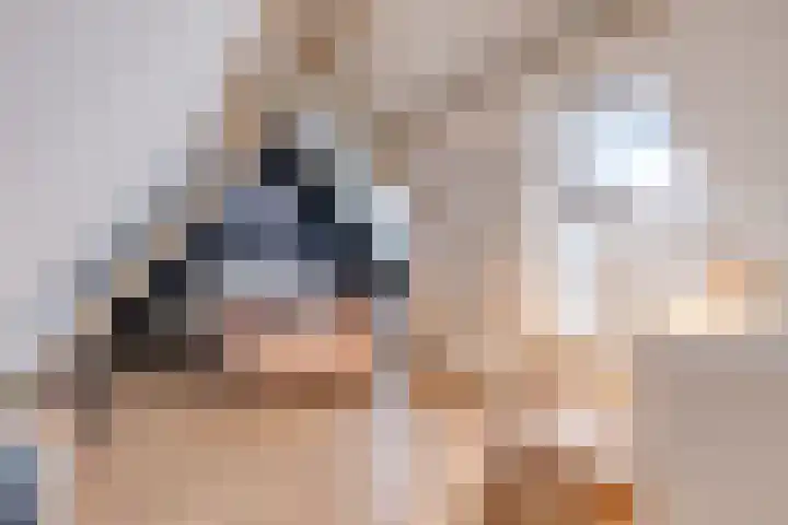 Hoofdstraat 25 Zevenbergschen Hoek thumbnail 33