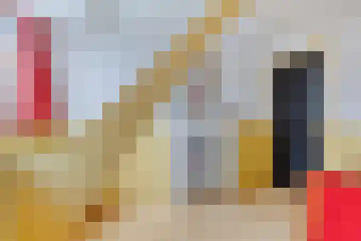 Hoofdstraat 25 Zevenbergschen Hoek thumbnail 38
