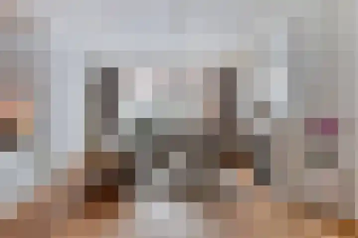 Hoofdstraat 25 Zevenbergschen Hoek thumbnail 6