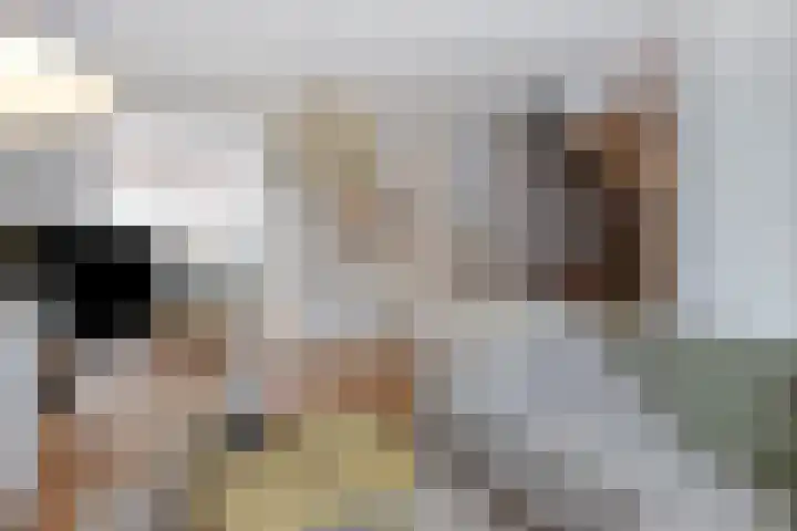 Hoofdstraat 25 Zevenbergschen Hoek thumbnail 8