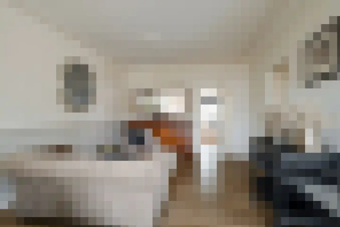Hoofdstraat 254 Overdinkel thumbnail 13