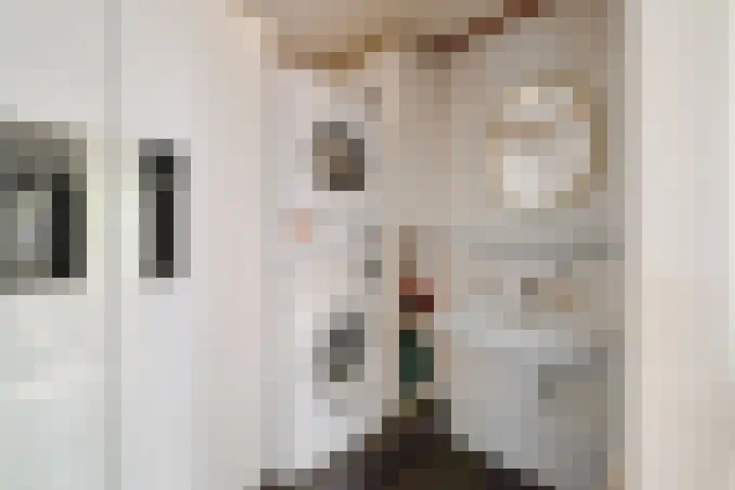 Hoofdstraat 254 Overdinkel thumbnail 19