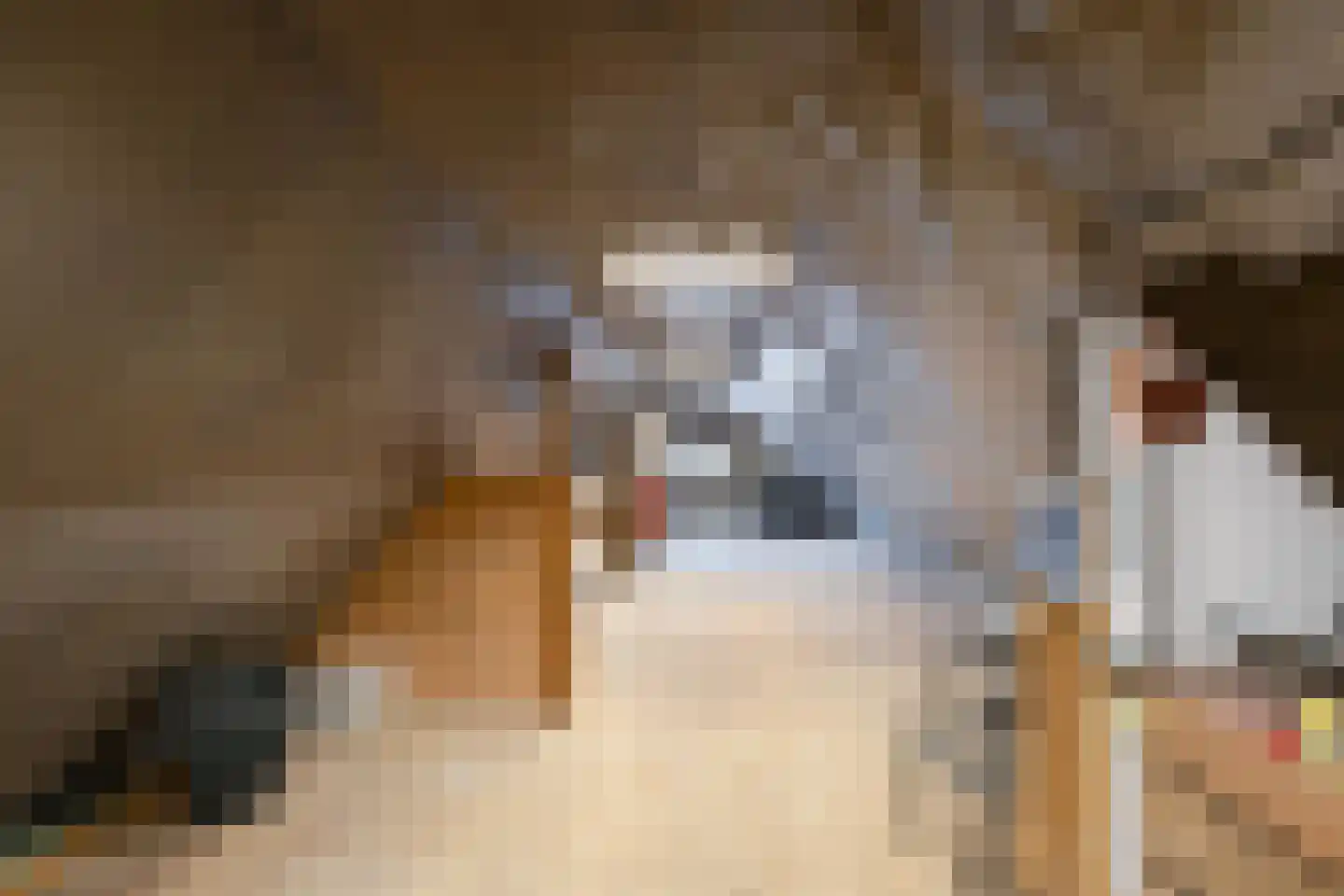 Hoofdstraat 254 Overdinkel thumbnail 31