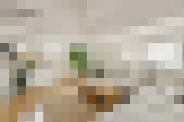 Hoofdstraat 255 b Sassenheim thumbnail 5