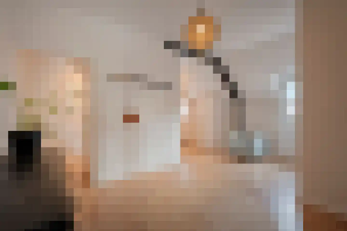 Hoofdstraat 26 Diever thumbnail 20