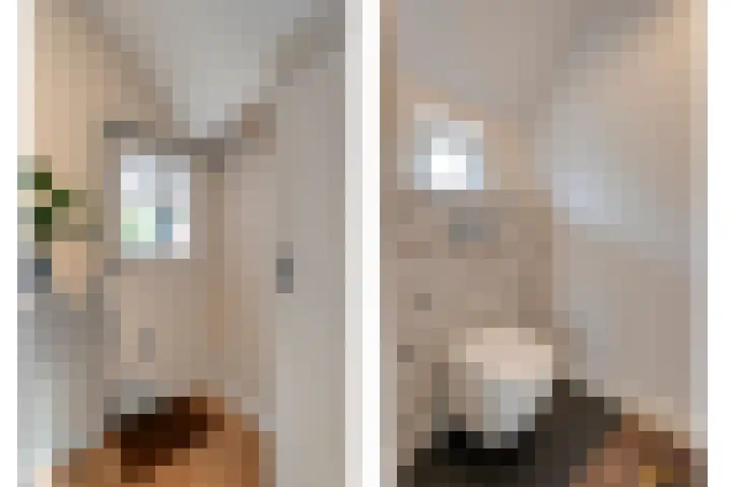 Hoofdstraat 26 Diever thumbnail 23