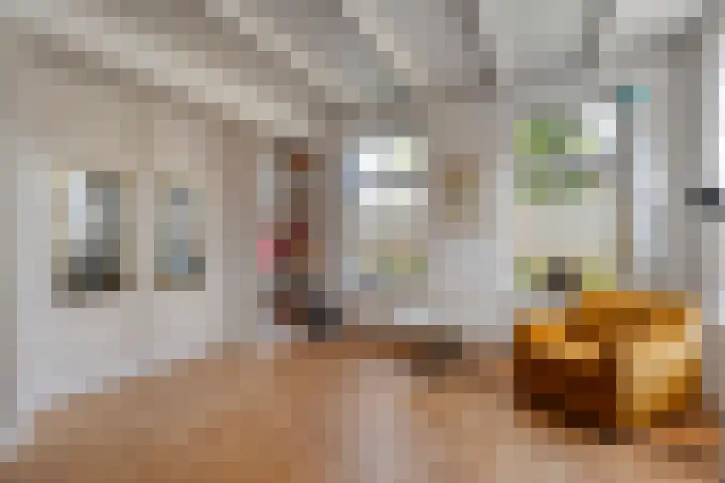 Hoofdstraat 26 Diever thumbnail 29