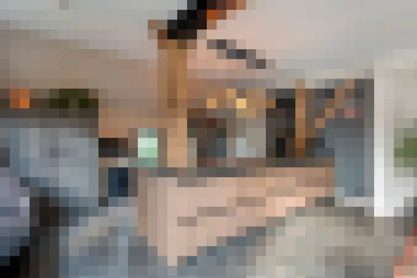 Hoofdstraat 26 Diever thumbnail 36