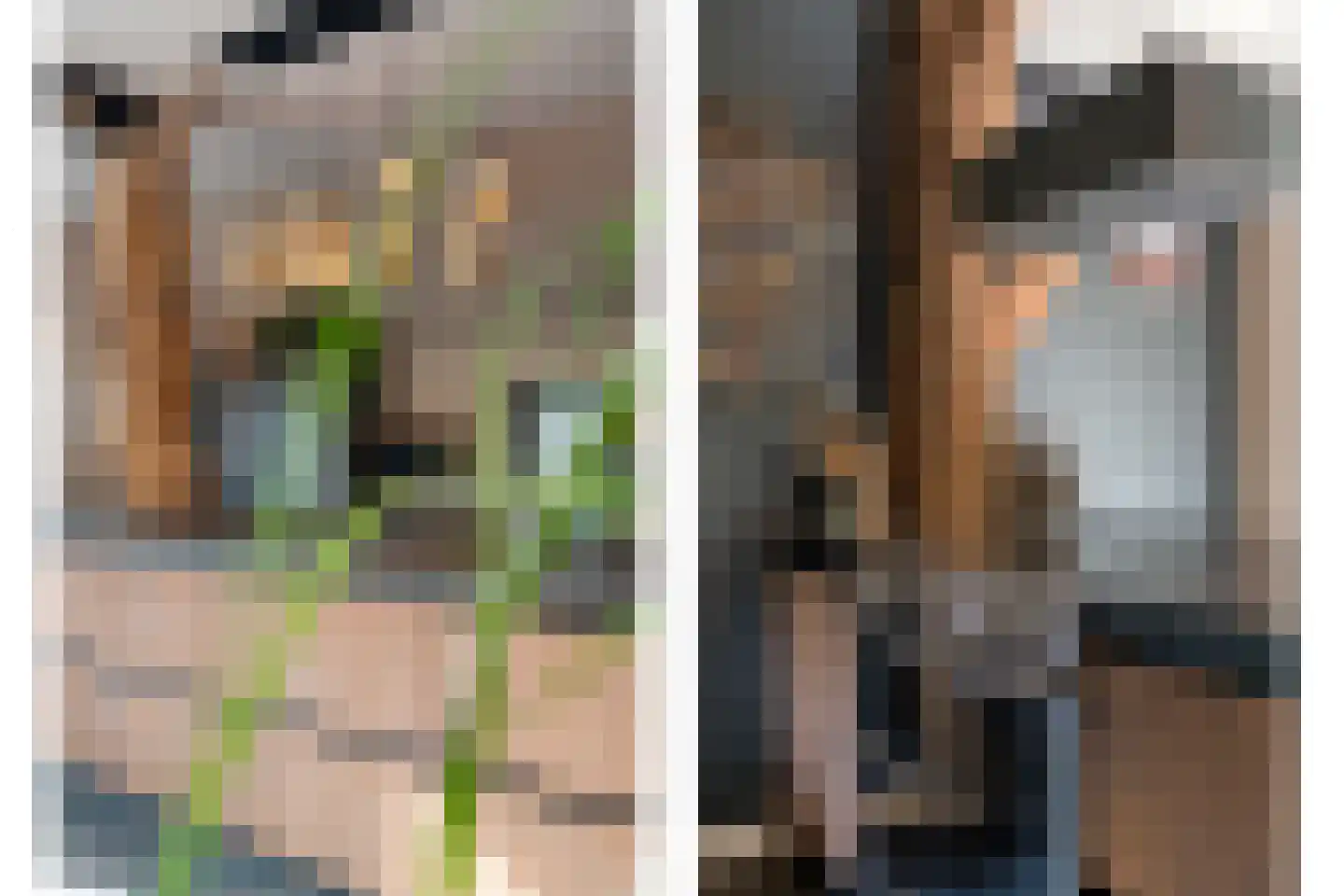 Hoofdstraat 26 Diever thumbnail 37