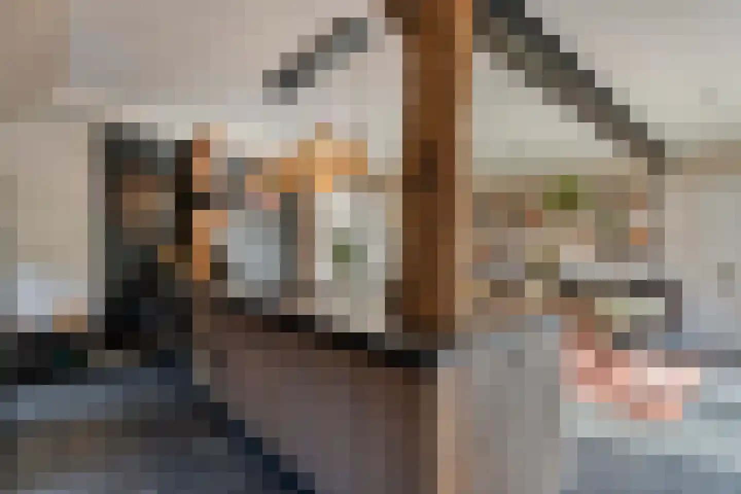 Hoofdstraat 26 Diever thumbnail 39
