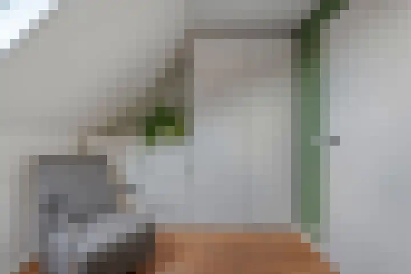 Hoofdstraat 26 Diever thumbnail 48