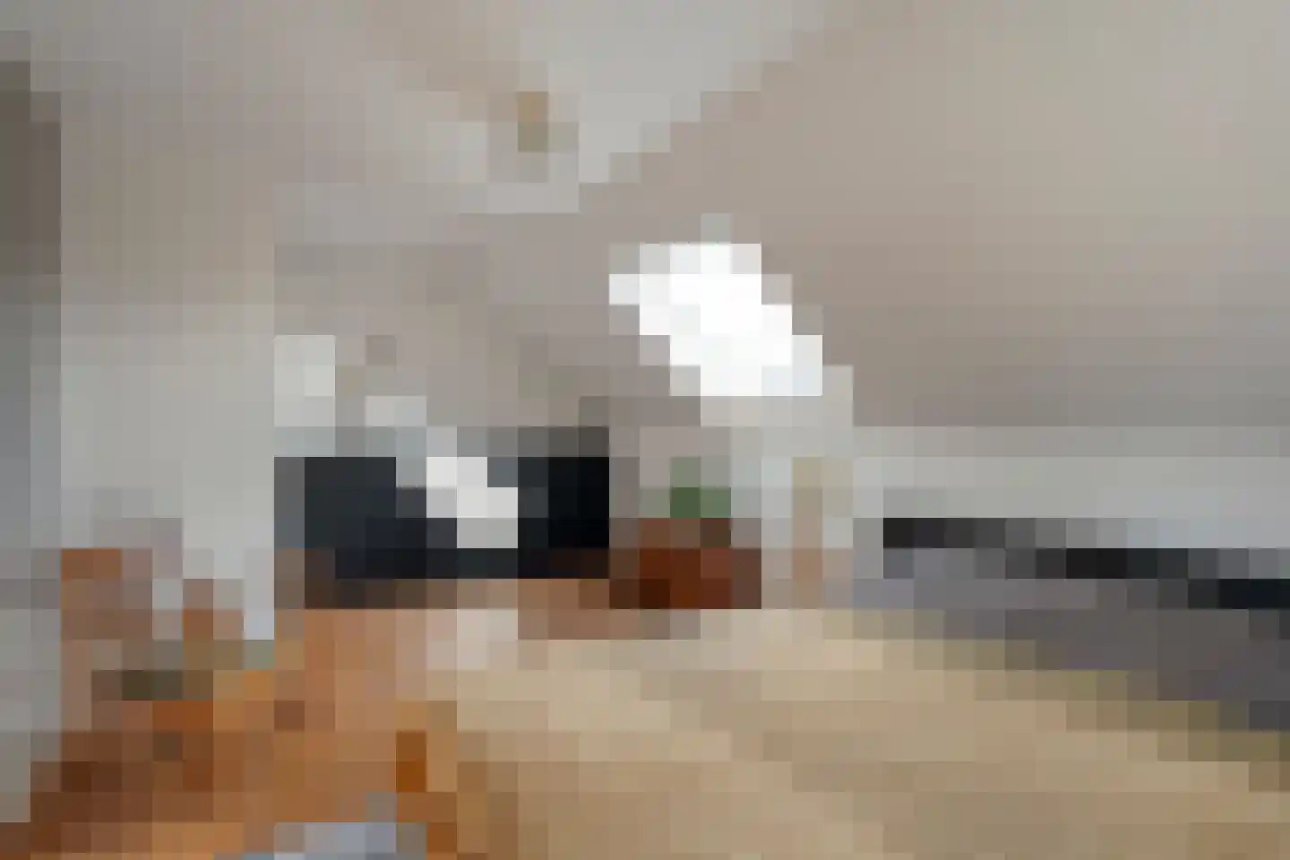 Hoofdstraat 26 Diever thumbnail 51
