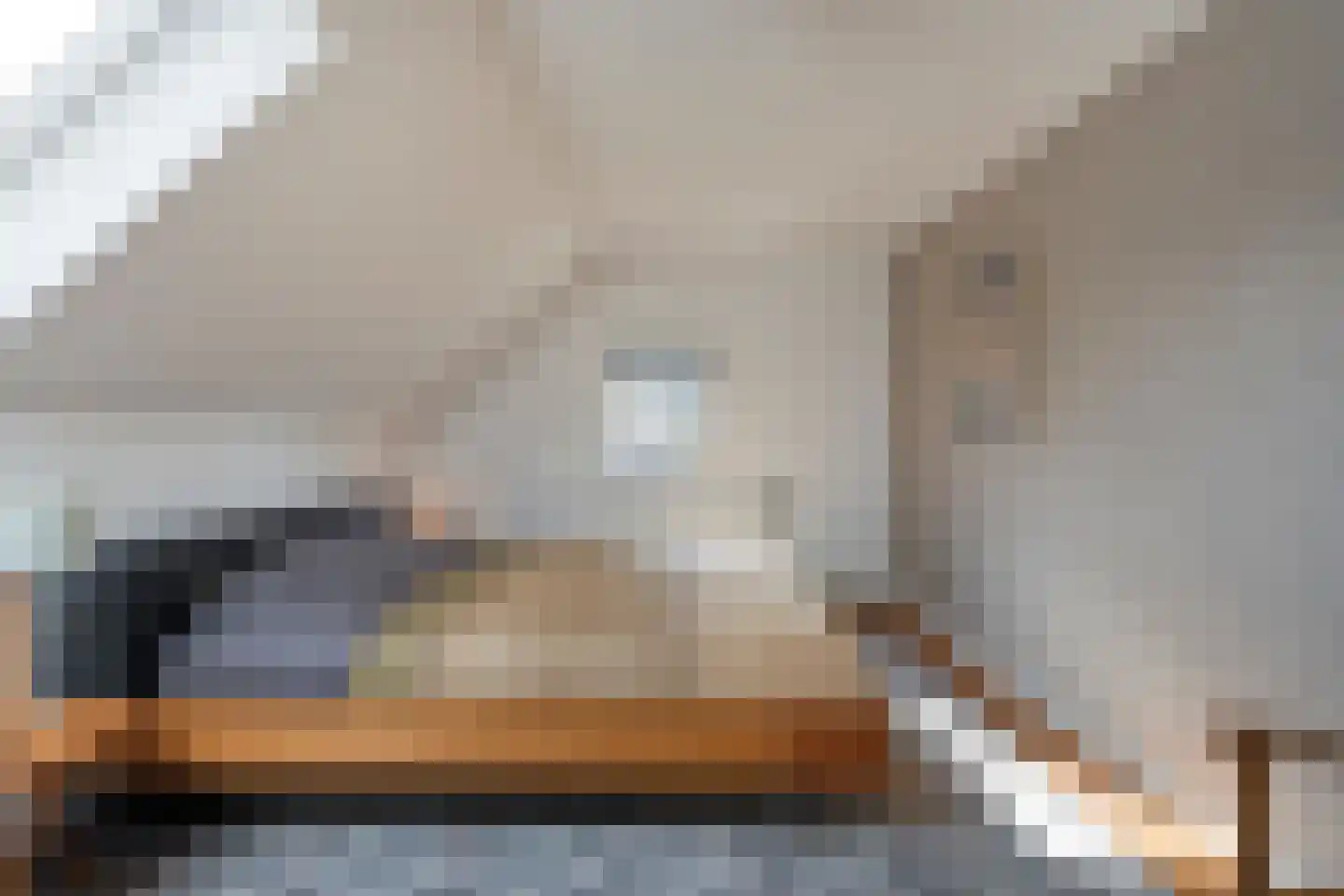 Hoofdstraat 26 Diever thumbnail 52