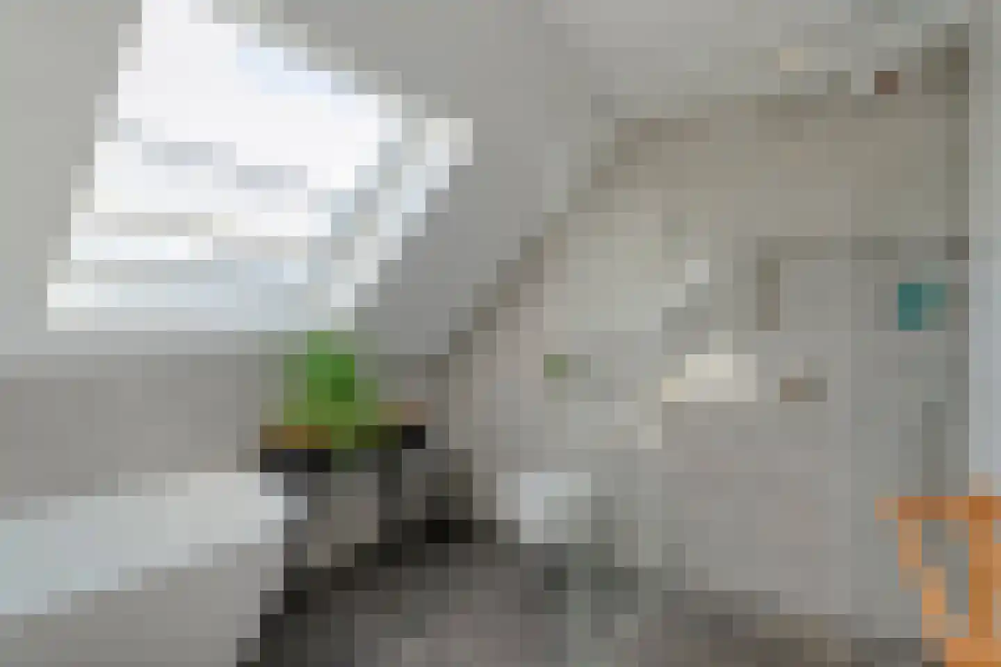 Hoofdstraat 26 Diever thumbnail 54