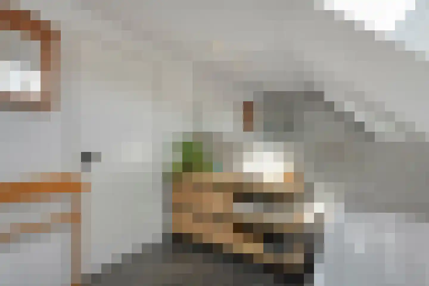 Hoofdstraat 26 Diever thumbnail 56