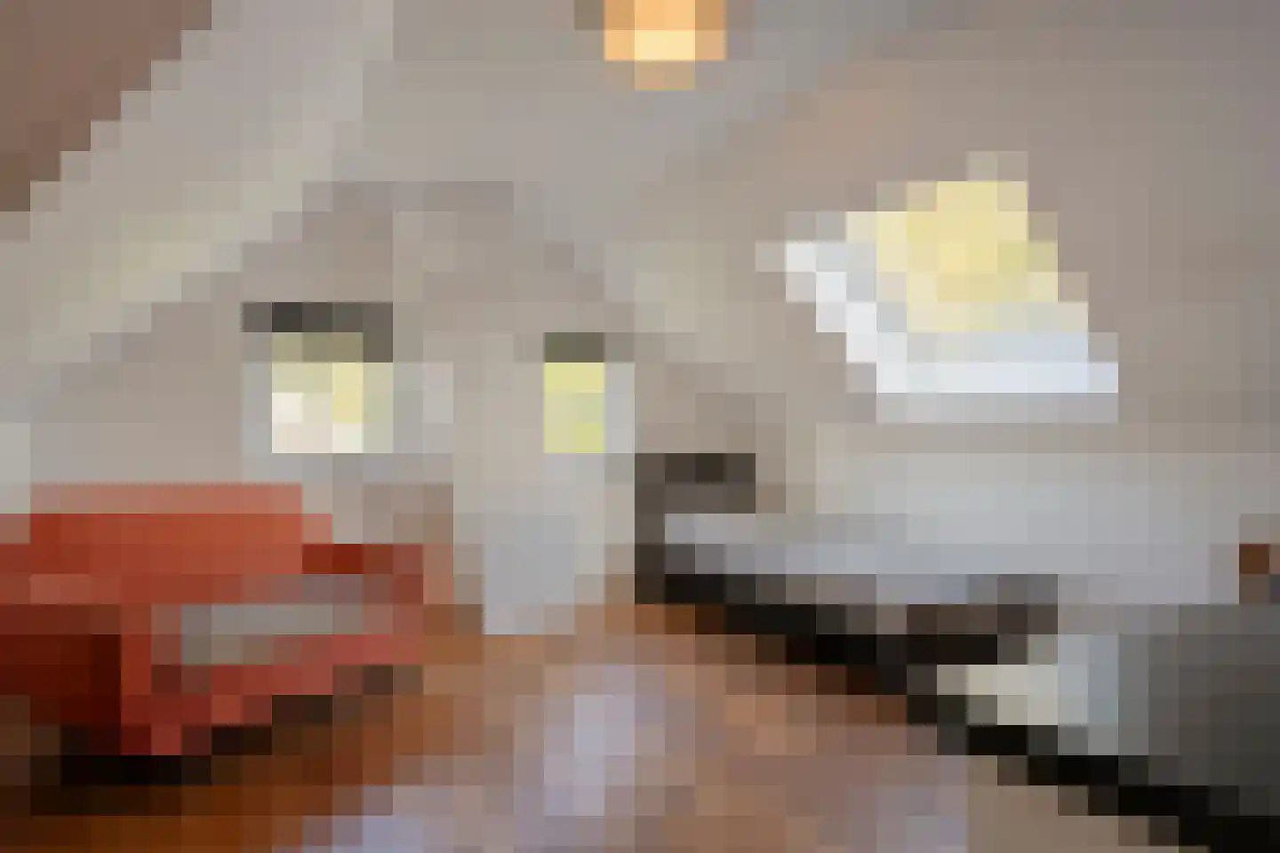 Hoofdstraat 26 Diever thumbnail 57