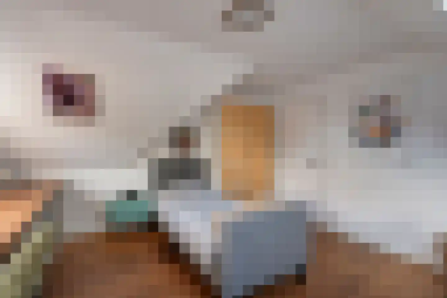 Hoofdstraat 26 Diever thumbnail 60