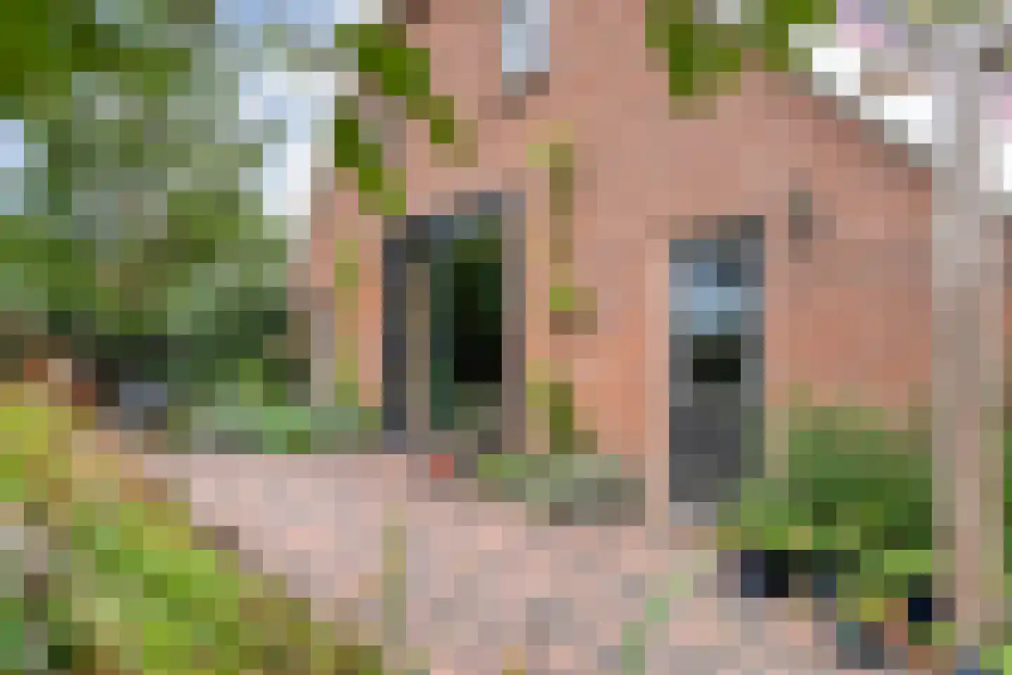 Hoofdstraat 26 Diever thumbnail 62