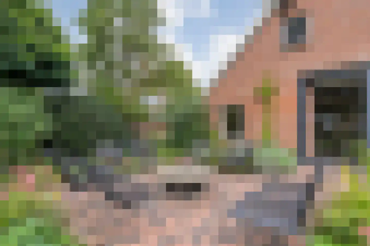 Hoofdstraat 26 Diever thumbnail 63