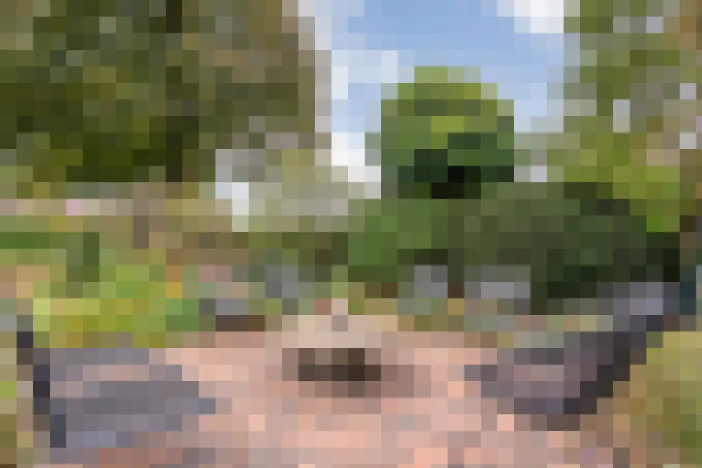 Hoofdstraat 26 Diever thumbnail 64