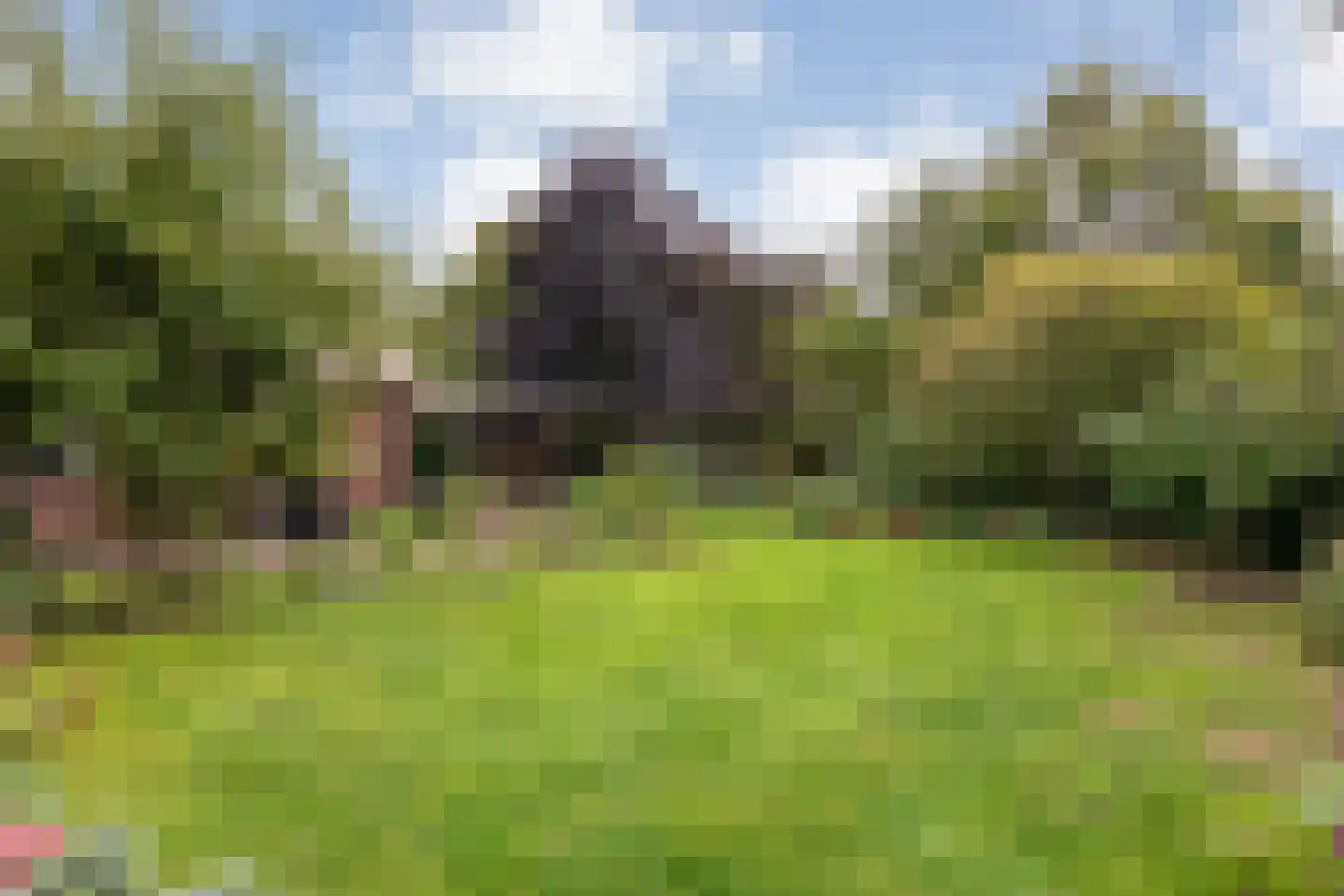 Hoofdstraat 26 Diever thumbnail 65