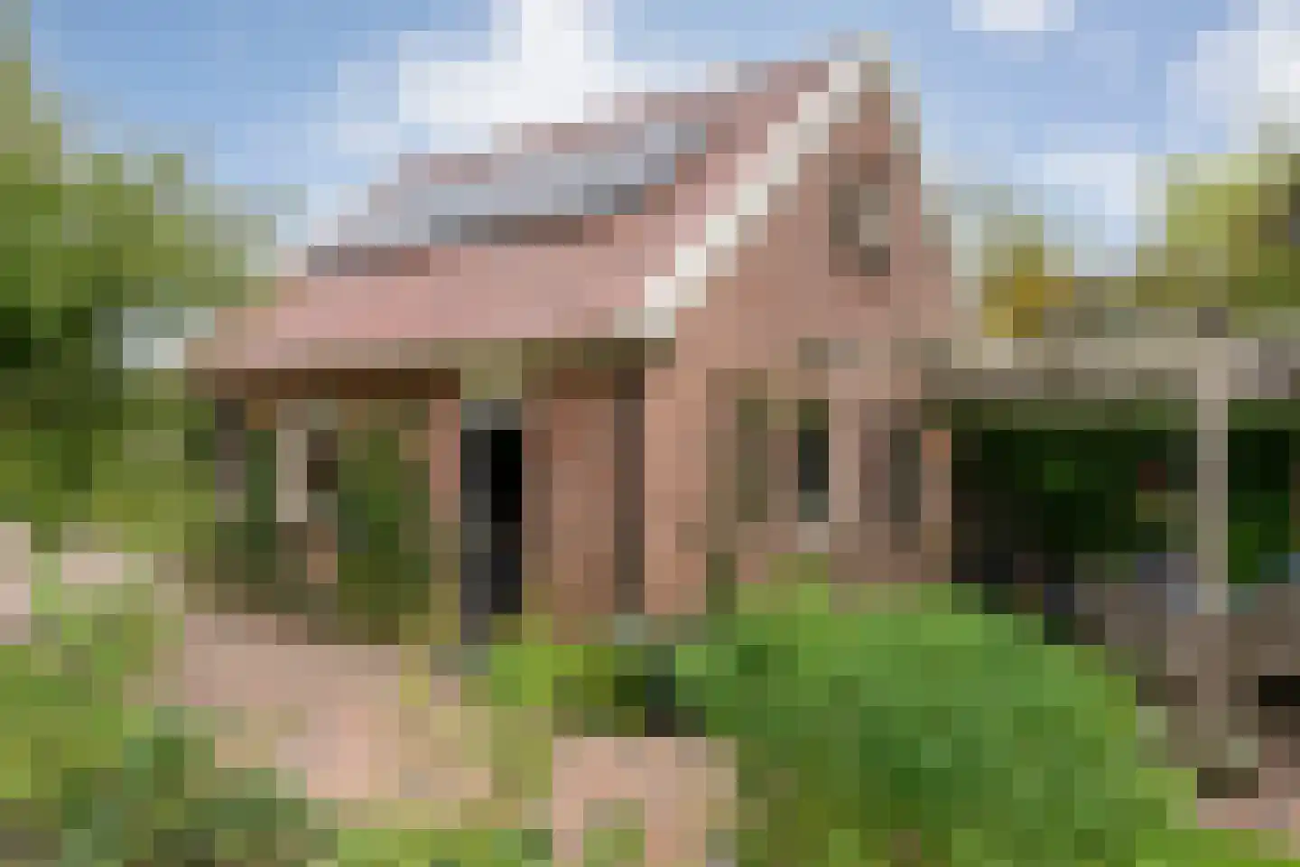 Hoofdstraat 26 Diever thumbnail 66