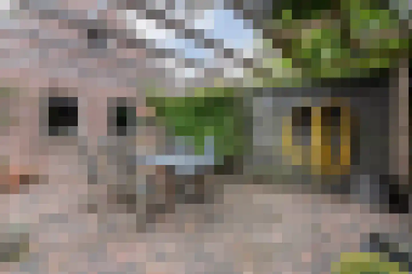 Hoofdstraat 26 Diever thumbnail 68