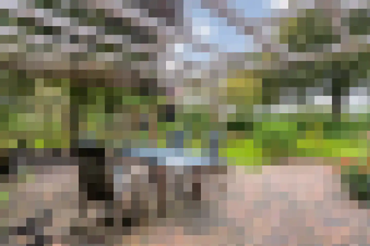Hoofdstraat 26 Diever thumbnail 69